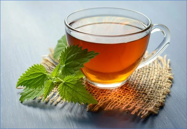 Consume tea made up with Tulsi and Mint 